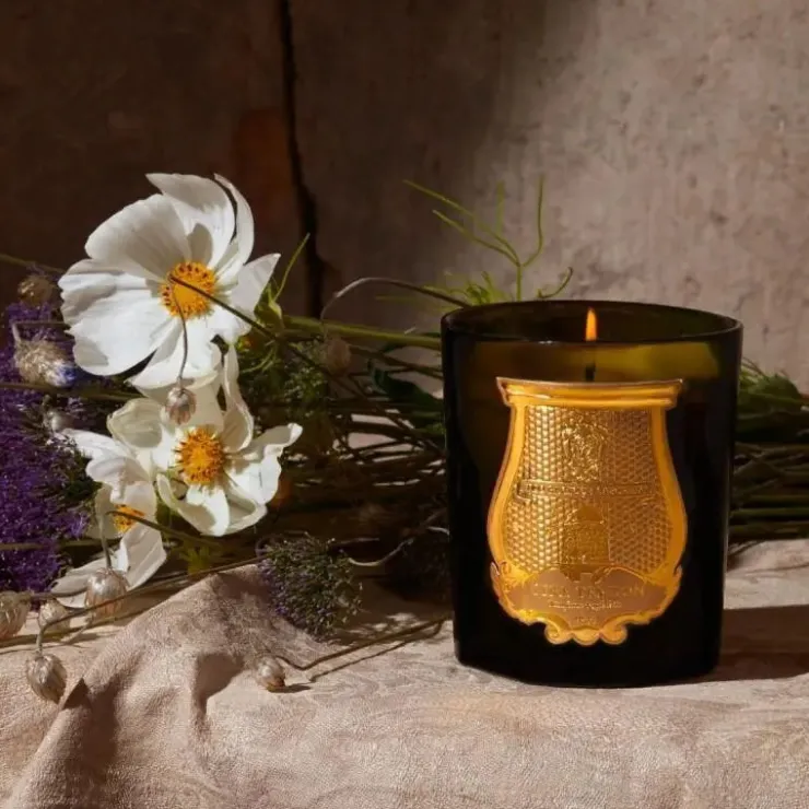 TRUDON Candela<Abd El Kader Candela - Alla Violetta Boutique