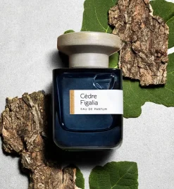 ATELIER MATERI Samples<Cedre Figalia