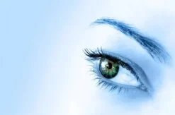 Miriam Bay Trattamento Occhi<Eye mask 30 ml