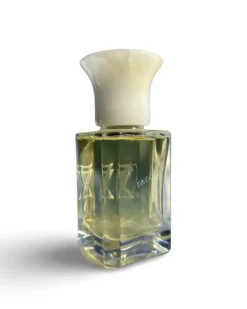 EXTRA VIRGO Samples<Oracle extrait