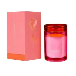 PAUL SMITH Candela<Rose Candle