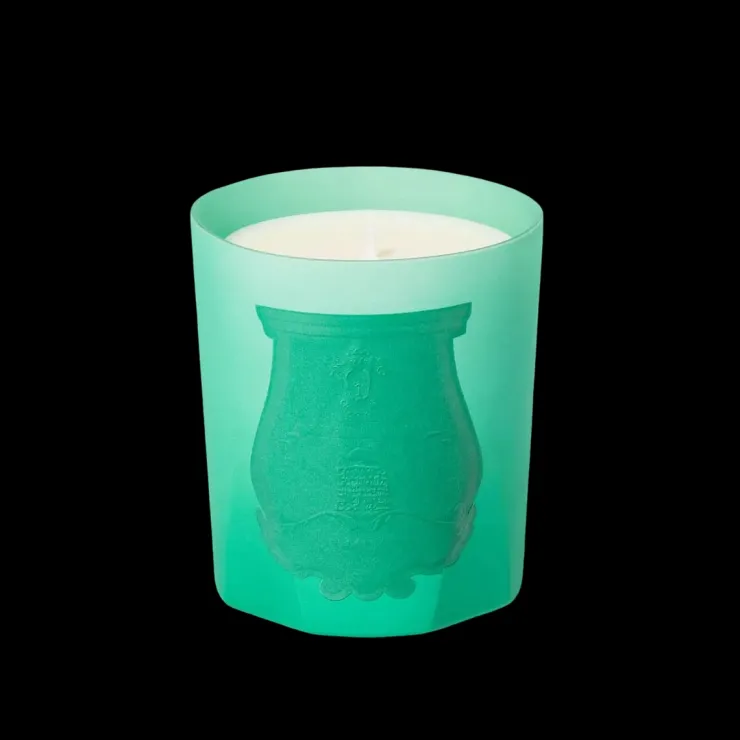 TRUDON Candela<Under The Trees Candle - Alla Violetta Boutique Napoli