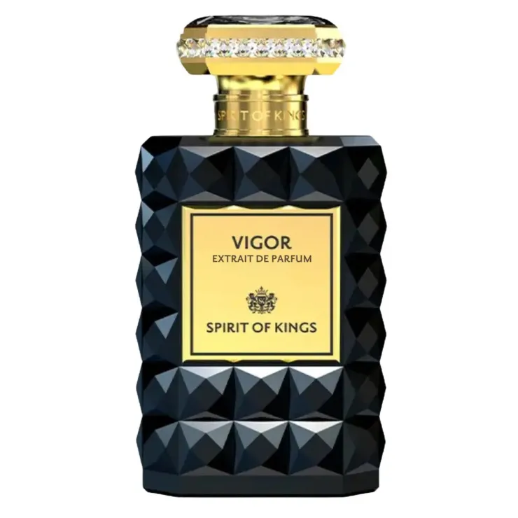 SPIRIT OF KINGS Labdano|Profumi Di Lusso<Vigor